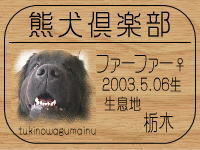 �I�[�i�[�́A�Z�[���[�}�}����ł���